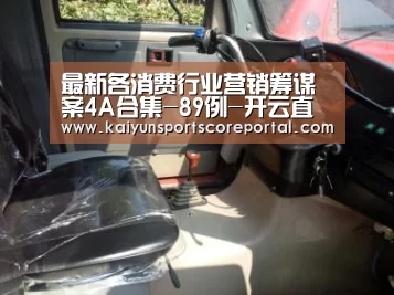 最新各消费行业营销筹谋案4A合集-89例-开云直播(图3) 开云体育数据