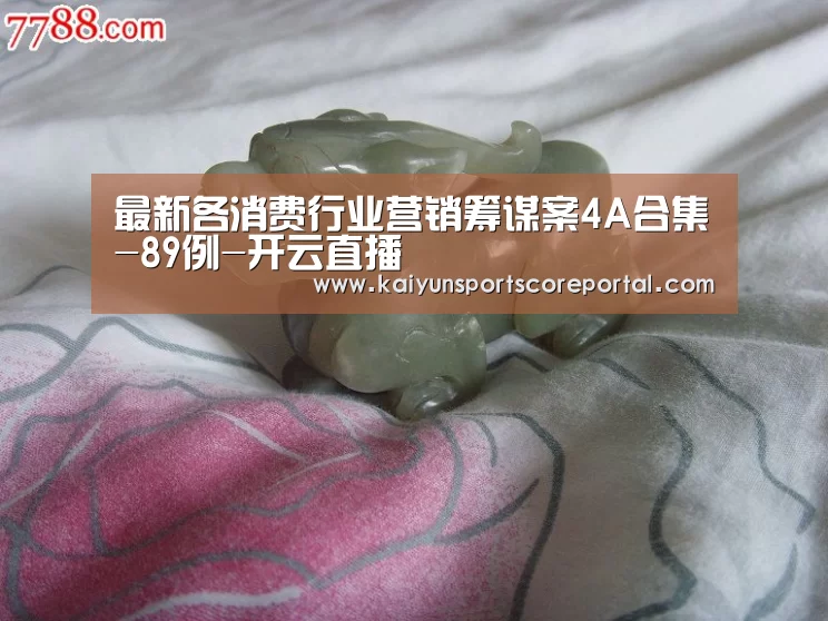 最新各消费行业营销筹谋案4A合集-89例-开云直播(图2) 开云体育高清直播