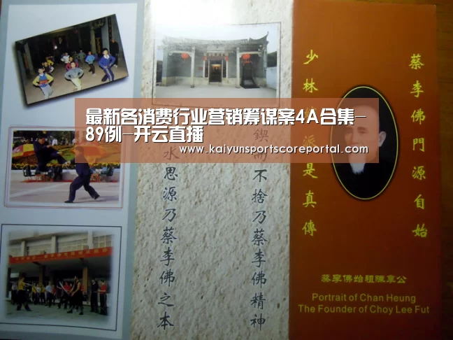 最新各消费行业营销筹谋案4A合集-89例-开云直播(图4) 开云直播