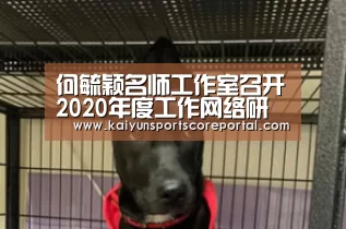 何毓颖名师工作室召开2020年度工作网络研讨会:开云体育官网(图1) 开云体育官网