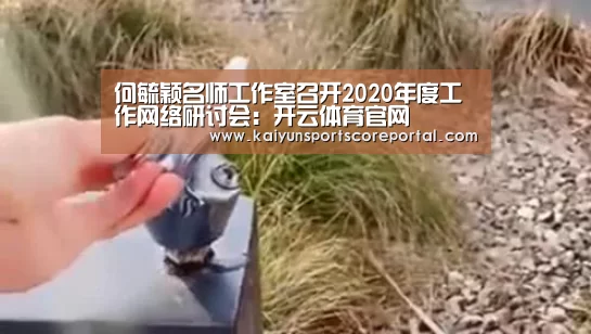 何毓颖名师工作室召开2020年度工作网络研讨会:开云体育官网(图3) 开云体育数据