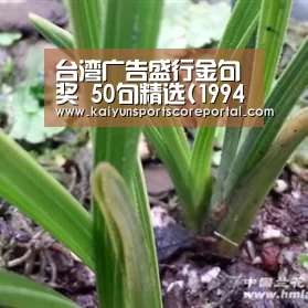 台湾广告盛行金句奖 50句精选(1994-2020),写给文案的情书“开云体育官网”(图1) 开云体育数据