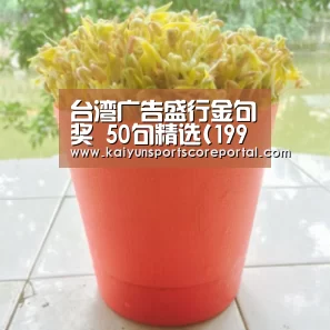 台湾广告盛行金句奖 50句精选(1994-2020),写给文案的情书“开云体育官网”(图4) 开云直播