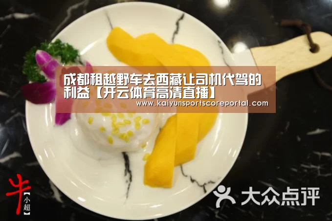 成都租越野车去西藏让司机代驾的利益【开云体育高清直播】(图2) 开云体育高清直播